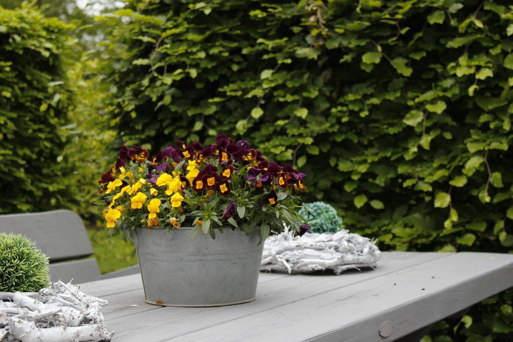 Housing De Brouwerij Bed & Breakfast Westdorpe Luaran gambar